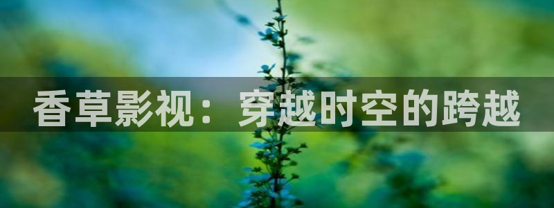 全能电影网：香草影视：穿越时空的跨越