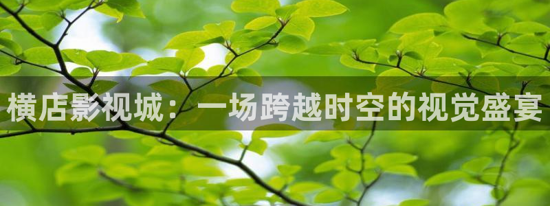 全能影院在线观看：横店影视城：一场跨越时空的视觉盛宴