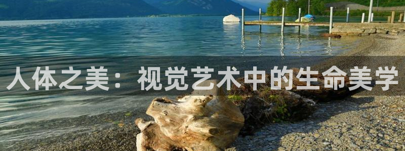 全能影视免费版：人体之美：视觉艺术中的生命美学