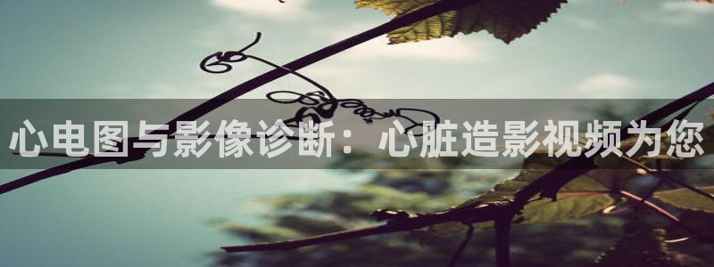 全能影视2025：心电图与影像诊断：心脏造影视频为您