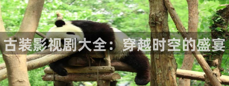 全能影视大全：古装影视剧大全：穿越时空的盛宴