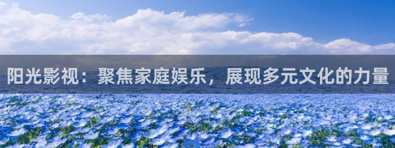 全能播放器电视版：阳光影视：聚焦家庭娱乐，展现多元文化的力量