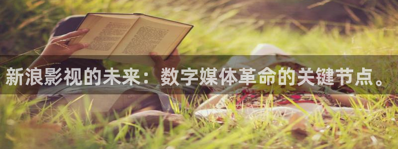 全能影视大全免费观看：新浪影视的未来：数字媒体革命的关键节点。