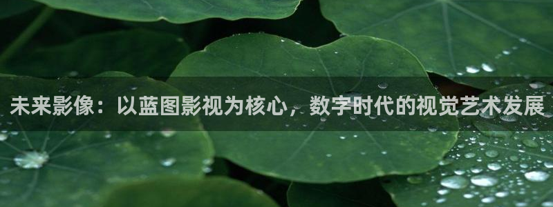 全能影视电视剧免费观看：未来影像：以蓝图影视为核心，数字时代的视觉艺术发展