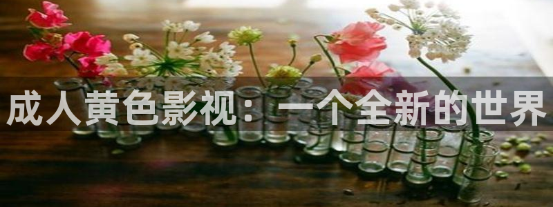 全能影视电视剧免费观看：成人黄色影视：一个全新的世界