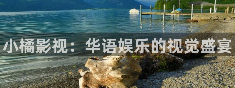 全能影视免费观看电影大全：小橘影视：华语娱乐的视觉盛宴