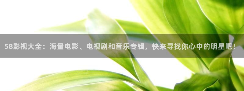 全能影视官网网站：58影视大全：海量电影、电视剧和音乐专辑，快来寻找你心中的明星吧！