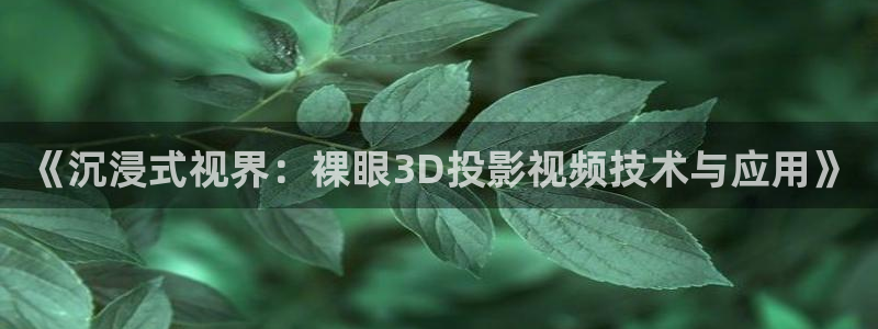全能电影大全：《沉浸式视界：裸眼3D投影视频技术与应用》