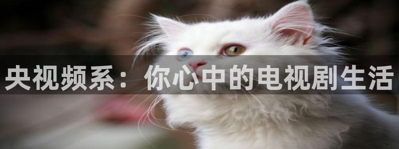 全能影音：央视频系：你心中的电视剧生活